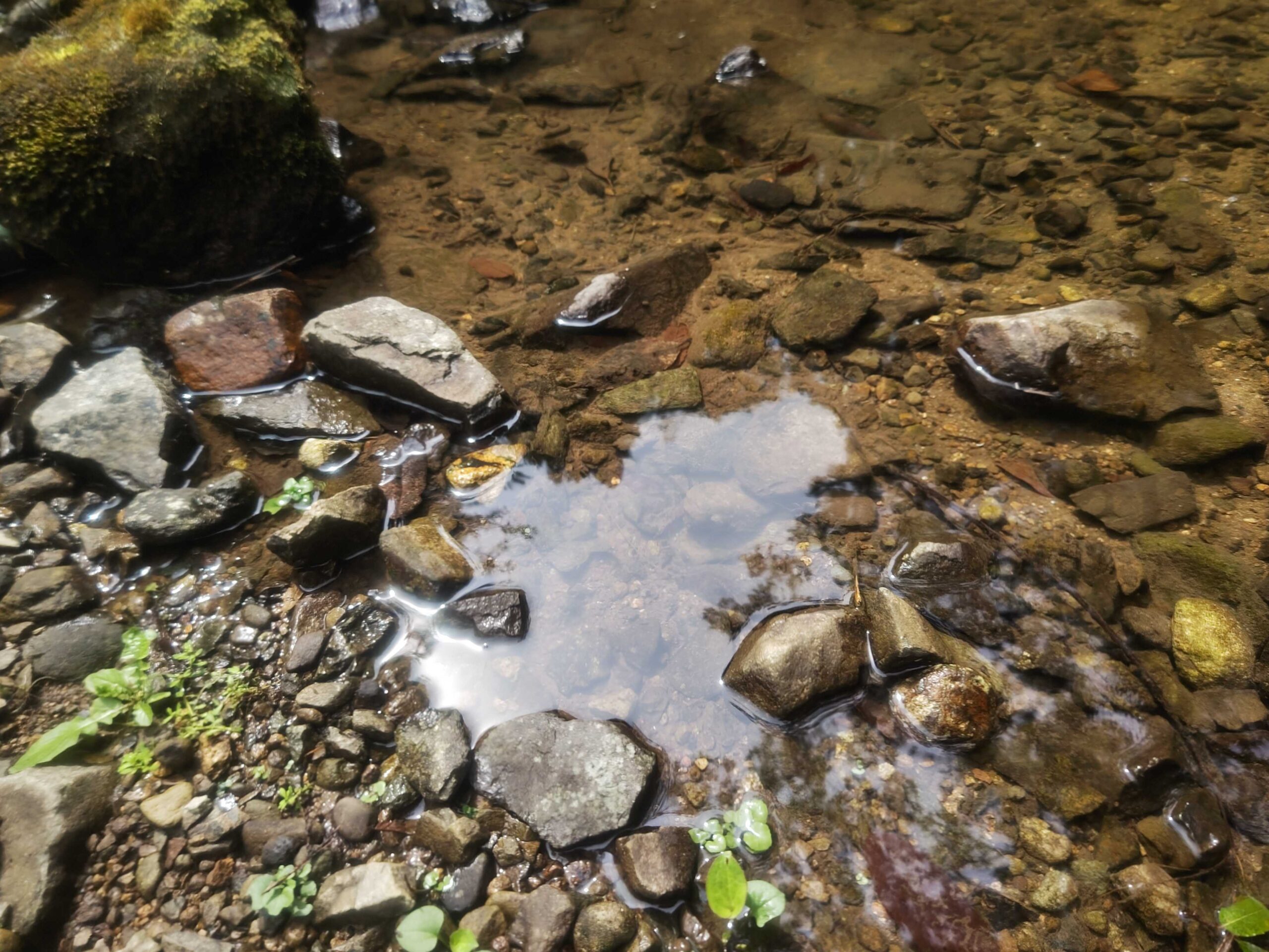 石と水が織りなす川辺の風景