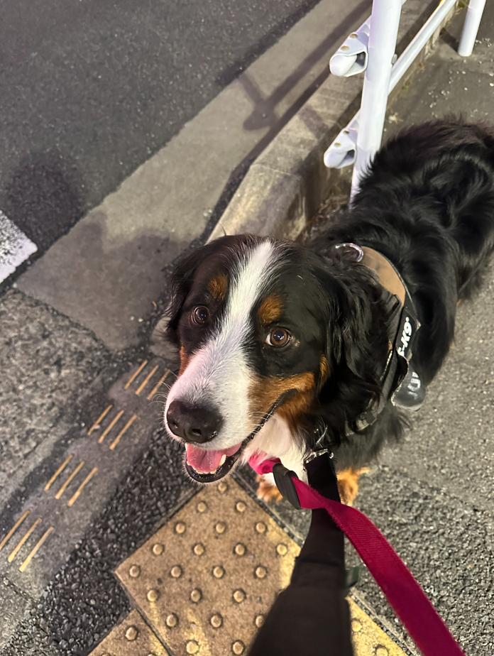 愛犬と一緒に過ごす國吉樹里さん