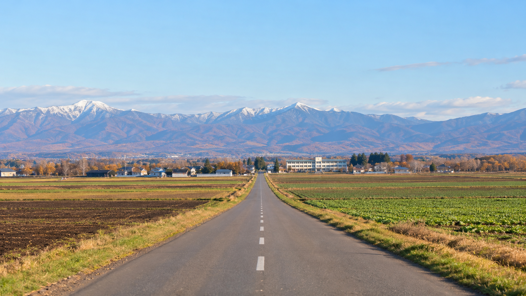 北海道の教員が異動先を考える、広い畑のあいだを町と学校へ続く一本道(イメージ)